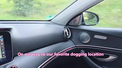 Last day of summer 2024 for dogging