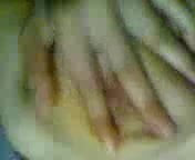 /beam/1420646