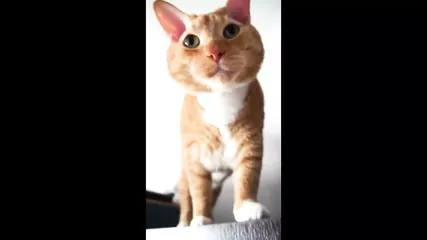 /beam/67a86364cc498f247e94134f