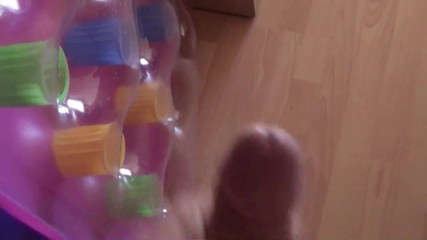 Young Black Haired Women Masturbating And Fucked