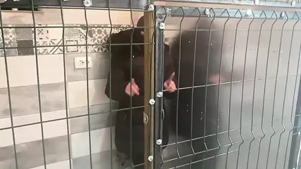 /beam/67a8631fcc498f247e909f24