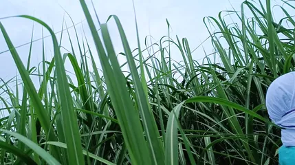 /beam/67a8633bcc498f247e920601