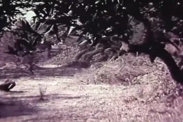 /beam/67a8620ccc498f247e833dcd