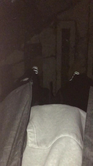 Piss on 2 Cars