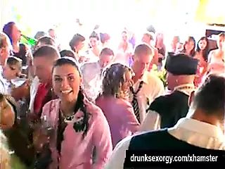 Wedding whores are fucking in public