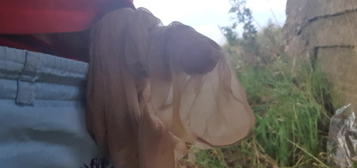 cum in 7 den pantyhose outdor