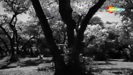 /beam/67a86083cc498f247e6da4cd