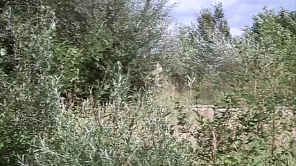 /beam/67a8631acc498f247e904f7b