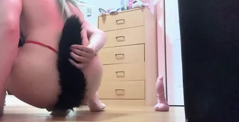 /beam/67a862f9cc498f247e8eb6f4