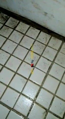 /beam/67a86035cc498f247e68ecc4