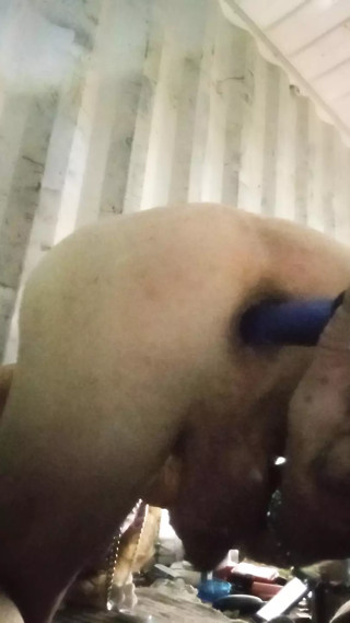 Solo play me wanting cock in my mouth and one in my ass