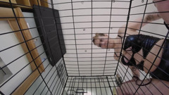 Mx Bambi - Facesitting Dominatrix