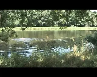 /beam/67a861c8cc498f247e7ffbc2