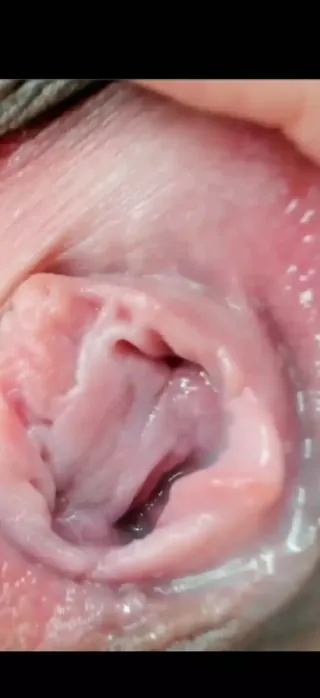 /beam/67a86393cc498f247e969fb4