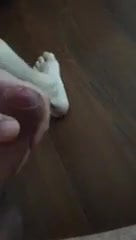 Uncut cumming after long edge session