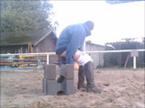 Dildo in the Riding Arena