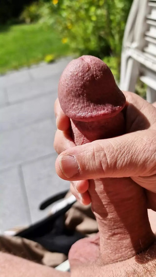 Horn in the garden