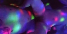Multicolored Fuck. I Stick My Cock in My Unfaithful Comadre in the Middle of a Shower of Lights...