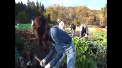 Wild Outdoor Gangbang Creampie with Horny Asian Babe