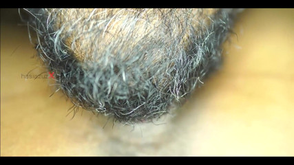 Desi Couple Close up Pussy Licking