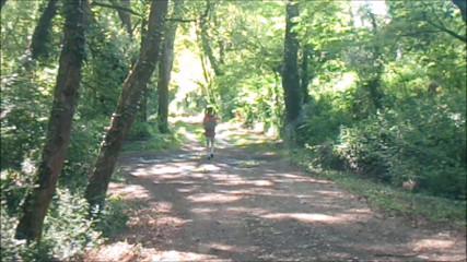 aurelia schoolgirl lost in forest