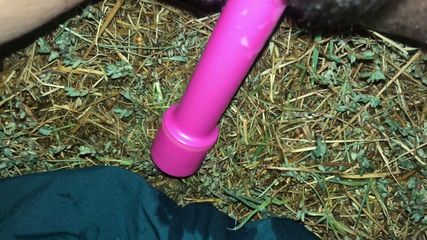 /beam/67a8617dcc498f247e7c4c96