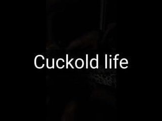 Cuckold action! Real life action!