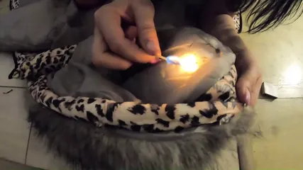 /beam/67a8636acc498f247e946799