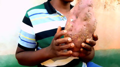 Taste of potatoes