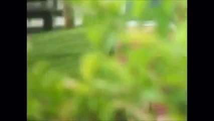 Slutty neighbor girl mows her lawn and gets a tribute for it