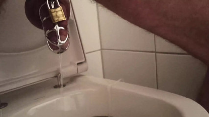 16.12.2022 pissing cagecheck