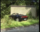 Brutal German cougar rides big rod in nature