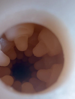 Stoya Destroya Fleshlight Fuck With Internal Veiw