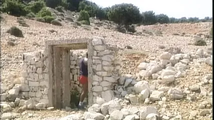 /beam/67a861a9cc498f247e7e94e5