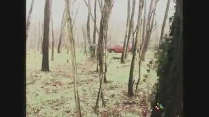 /beam/67a8613ccc498f247e7886b2