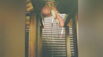 Milking table estim cumshot