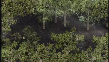 /beam/67a86322cc498f247e90c513