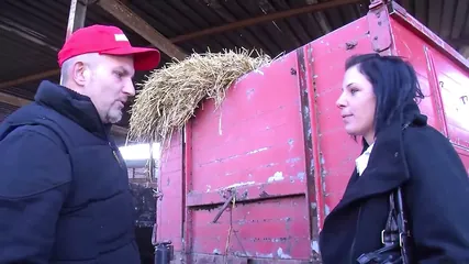 /beam/67a861b8cc498f247e7f4908