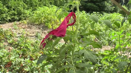 /beam/67a862bbcc498f247e8baf7d