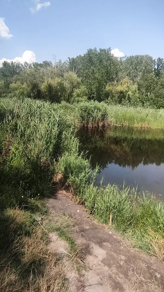 Daily relax time