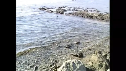 /beam/67a8629dcc498f247e8a4641