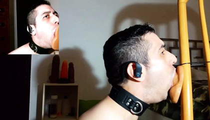 Penis in Picture in Picture