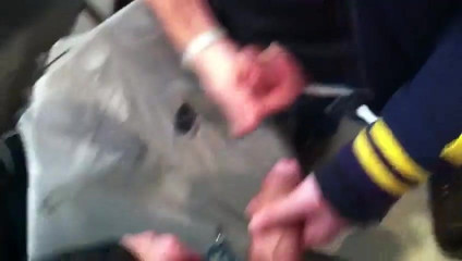 jerk off in a shop with guy - branle dans un magasin