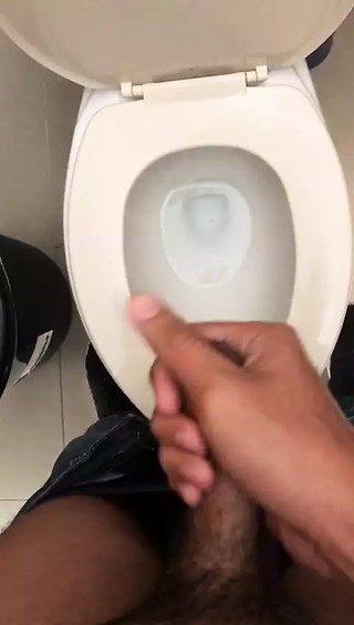 I Jerk off Myself in My Bathroom at Work