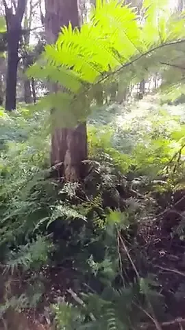 /beam/67a86320cc498f247e90abf6