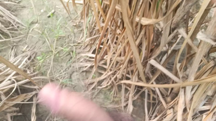 Asian boy gay video outdoor shoot