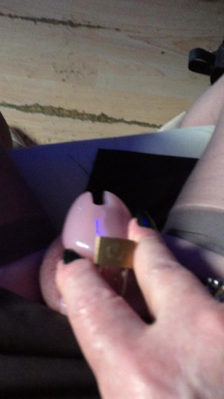 Video of my caged pics