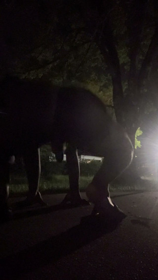 Fooling Around At Night Outside On The Sidewalk Fully Naked Part 4