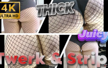 Thick & Juicy - Fishnet PAWG Twerk & Strip Show - Ass Bouncing Like Crazy!