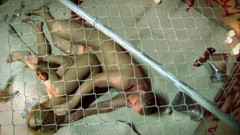Kelly Wells is getting fucked while sampling cock from multiple glory holes
